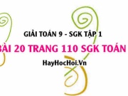 Giải bài 20 trang 110 SGK Toán 9 tập 1